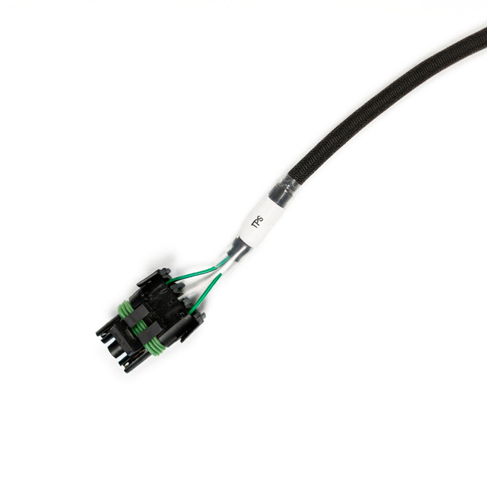 Conector TPS do chicote FT550 Ford Godzilla