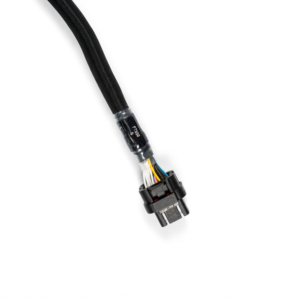 Conector FT550 B (ECU) do chicote FT550 Ford Godzilla