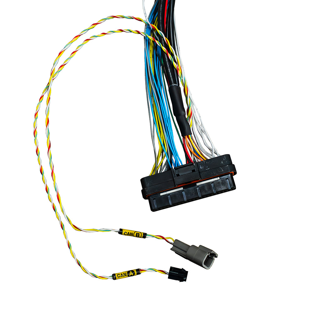 Chicote FT470 virgem 6M - detalhe 2
